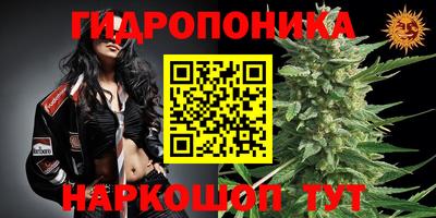 твердый Бердск