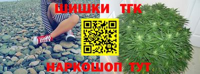 твердый Бердск