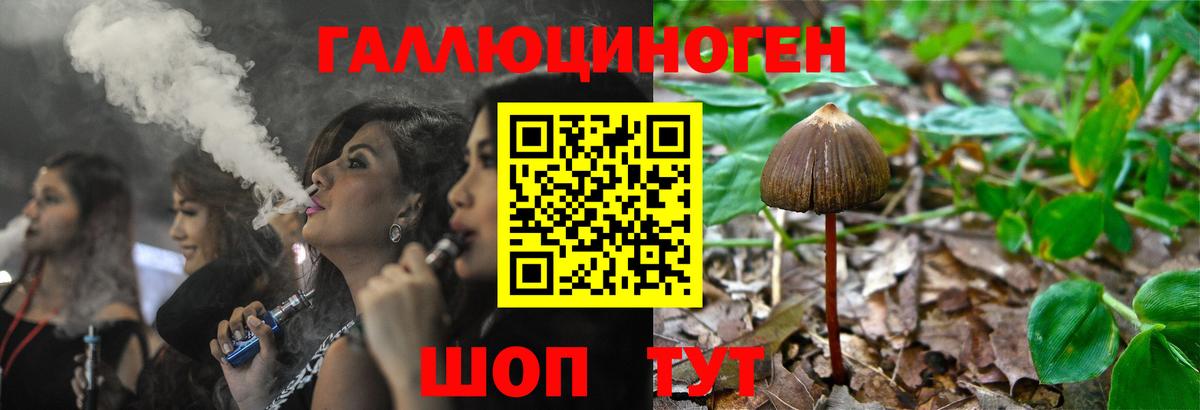 Новошахтинск  Псилоцибиновые грибы Psilocybe  Вход с VPN 